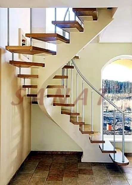 beyaz omurgalı merdiven